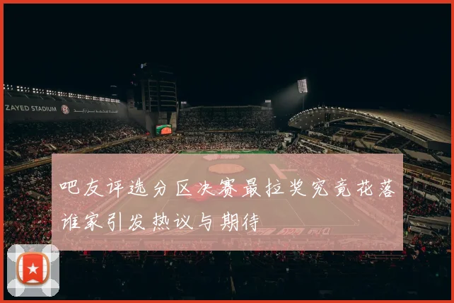 吧友评选分区决赛最拉奖究竟花落谁家引发热议与期待